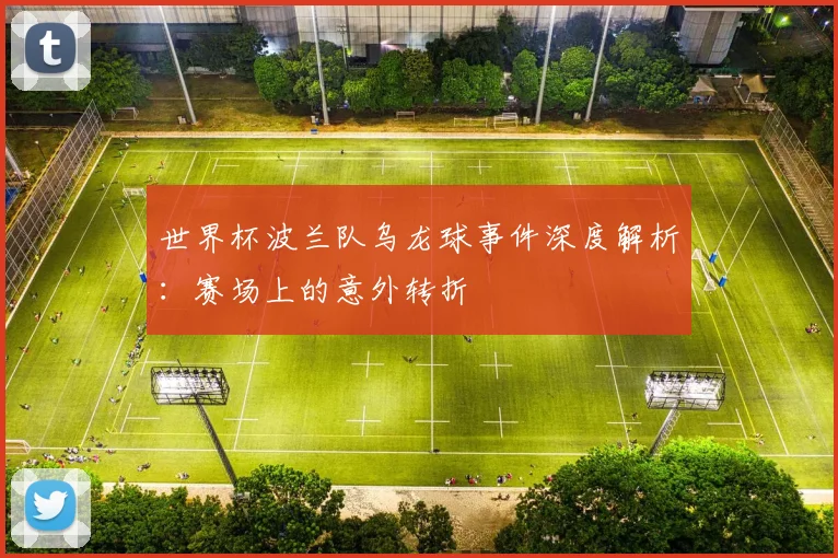 世界杯波兰队乌龙球事件深度解析：赛场上的意外转折