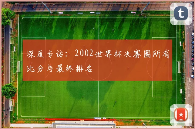 深度专访:2002世界杯决赛圈所有比分与最终排名