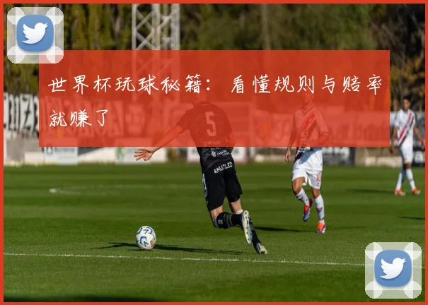 世界杯玩球秘籍:看懂规则与赔率就赚了