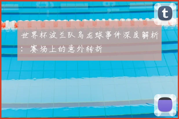 世界杯波兰队乌龙球事件深度解析：赛场上的意外转折