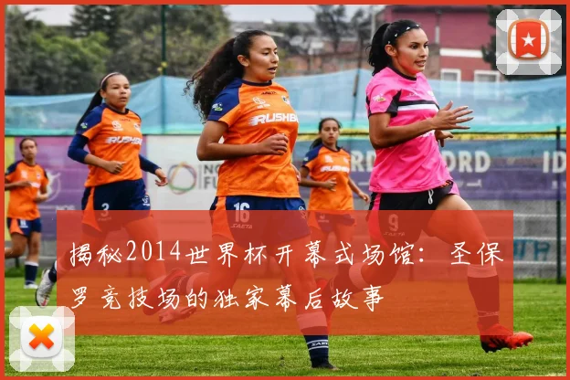 揭秘2014世界杯开幕式场馆:圣保罗竞技场的独家幕后故事