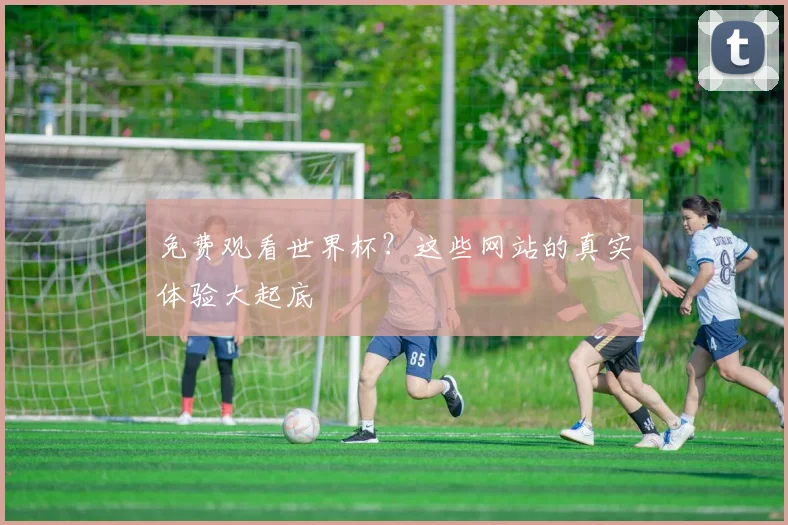 免费观看世界杯?这些网站的真实体验大起底