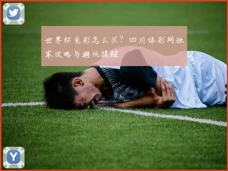世界杯竞彩怎么买?四川体彩网独家攻略与避坑提醒