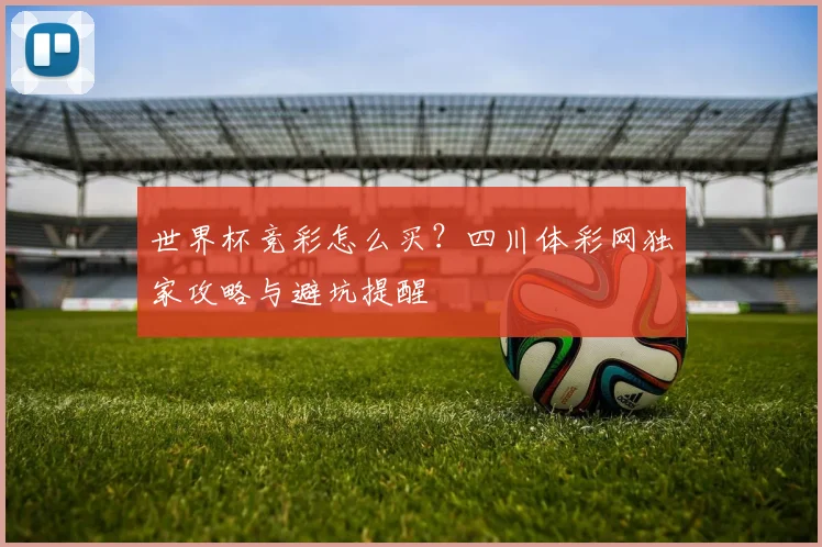 世界杯竞彩怎么买？四川体彩网独家攻略与避坑提醒