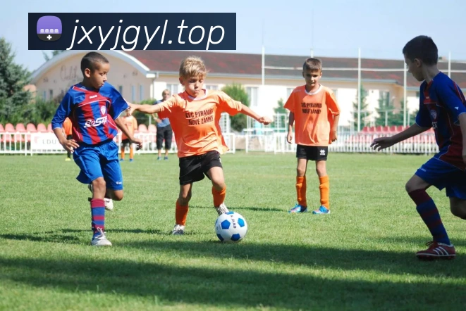 bat365备用登录APP 封面图